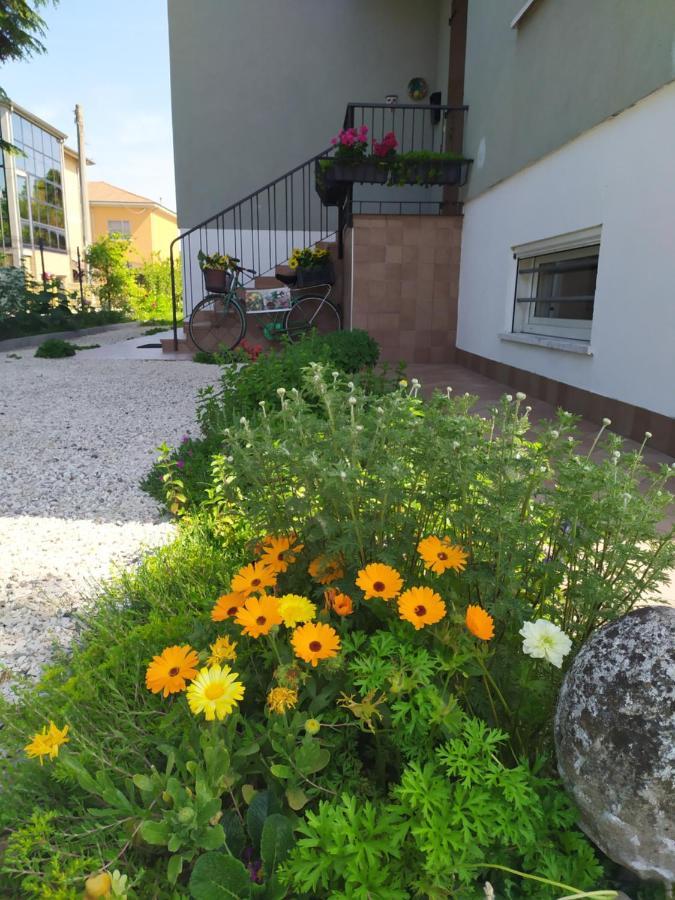 Casa Vacanze I Giardini Di Marzo San Giorgio di Mantova Екстериор снимка